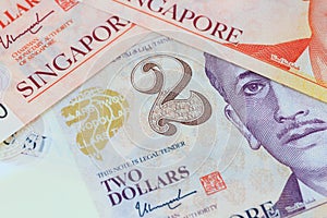 Bank note singapore dollars money closeup detail view