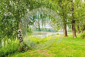 Bank of the Pekhorka river