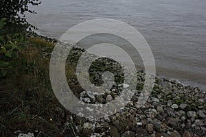 On the bank of the river, boulders and wild vegetation.