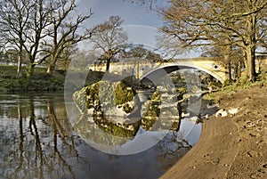 Bank of the river Lune