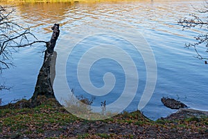 Bank of the river. Nature background with copy space for text