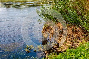 Bank of the river. Nature background with copy space for text