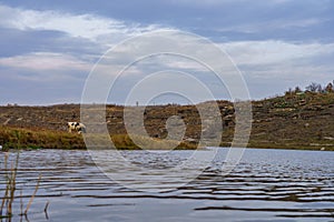 Bank of the river. Nature background with copy space for text