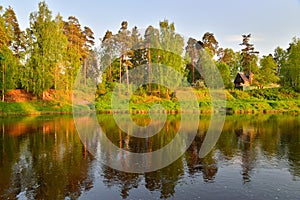 The Bank of the river Oredezh with trees Sunny day