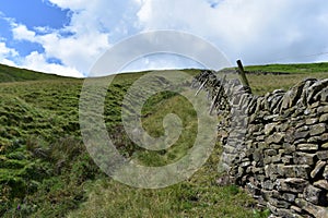 On bank by wall over WhitemoorClough