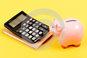 Banking account. Earn money salary. Money budget planning. Financial wellbeing. Calculate profit. Piggy bank pink pig
