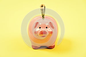 Banking account. Earn money salary. Money budget planning. Financial wellbeing. Piggy bank pink pig stuffed dollar