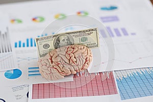 Banknote fit in anatomical model of human brain, miniature put on business papers