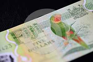 Banknote five Fijian dollars on a dark background