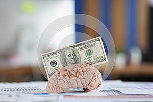 Banknote put in anatomical model of human brain, mess of business papers on desk