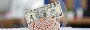 Banknote put in anatomical model of human brain, mess of business papers on desk