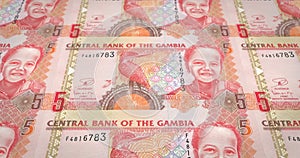 Banknotes of five gambian dalasis of Gambia rolling, cash money, loop