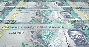 Banknotes of twenty five gambian dalasis of Gambia rolling, cash money, loop