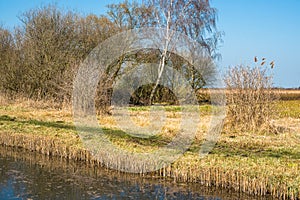 The banks of Burwell Lode