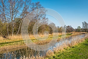 The banks of Burwell Lode