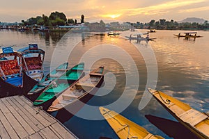 Banks of Dal lake, Srinagar, Kashmir, India at golden sunset. photo