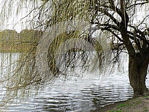 On banks of Garonne river in southern city of Toulouse, France