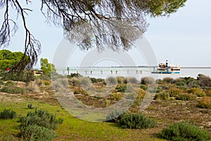 Banks of the Guadalquivir in the DoÃ±ana National Park