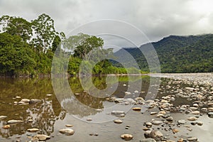 Bancos de un rio Amazonas selva 