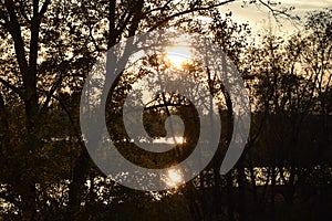 The banks of the Po River in the Autumn Sunset Light