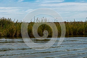 Banks of the Rappahannock River