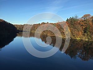 The banks of the Rhone