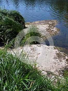 Bancos de un rio alce Francia 