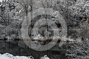 The banks of the river with snowy trees