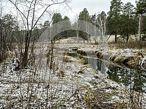 The banks of a small forest river in the early winter in the Middle Urals