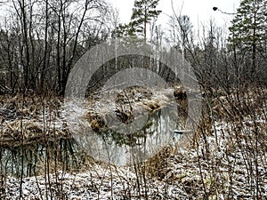 The banks of a small forest river in the early winter in the Middle Urals