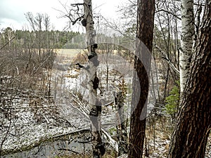 The banks of a small forest river in the early winter in the Middle Urals