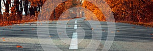 Banner 3:1. Empty asphalt road in autumn fall forest. Autumnal background... Selective focus