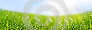 Banner 3:1. Fresh green grass against blue sky and sun beams. Abstract spring background