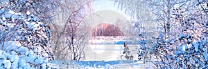 Banner 3:1. Winter landscape. Winter road and trees covered with snow. Sky and sunlight through the frozen tree branches. Copy