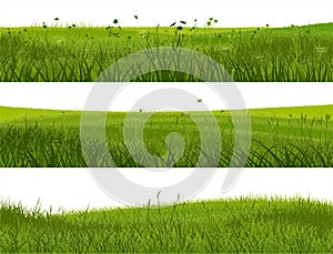 Banner of abstract meadow grass.