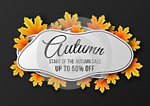 Banner for autumn sale. liquid shapes with maple leaves. Fluid design. Orange foliage. Seasonal collection. Festive brochure. photo