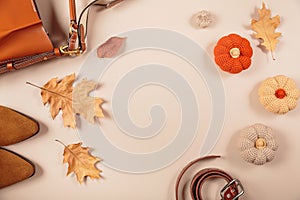 Banner for autumn Thanksgiving sale with womens accessories