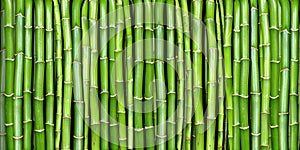 Banner of bamboo photo