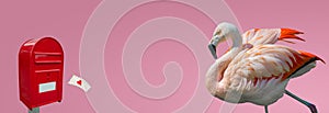 Banner with beautiful rosy flamingo waiting for a love letter from a red post box at smooth light pink gradient background with