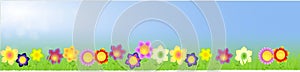 Banner with big flowers on the spring background