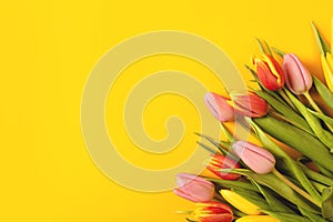 Banner with a bouquet of tulips on an yellow background. Flat lay, top view with copyspace.