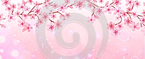 Banner of branches with cherry blossoms