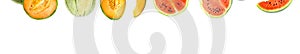 banner with collection of whole and cut watermelon and honeydew fruits isolated on white background. Set of different slices