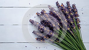 Banner copy space with fresh lavender flowers on white background