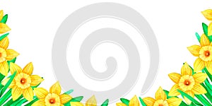 A banner of daffodils. Watercolor vintage illustration. Isolated on a white background. For design.