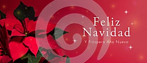 Banner de feliz navidad con flor de noche buena.