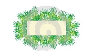 Banner decorated branches of fir trees spruce with card for text, isolated on white background. Vector illustration