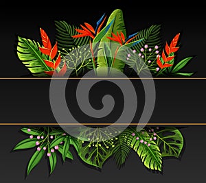 Banner design with bird of paradise flowers