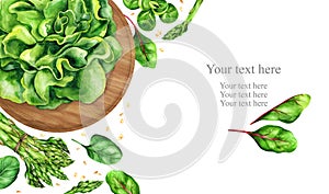 Banner design green leafy vegetables with place for text