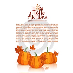 Banner design template Hello autumn. poster design with the decor of pumpkins and autumn leaves. Logo, icon, symbol